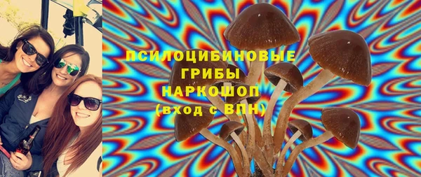 PSILOCYBIN Алексеевка
