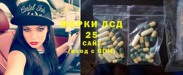 PSILOCYBIN Алексеевка