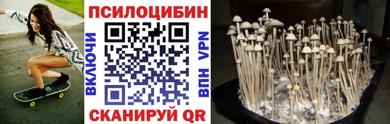 Псилоцибиновые грибы MAGIC MUSHROOMS  Сусуман 